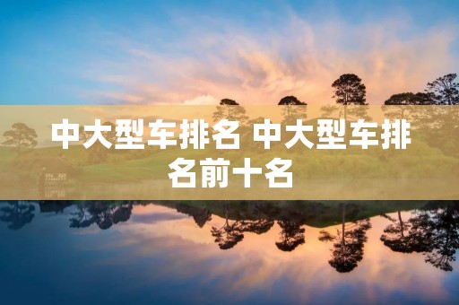 中大型车排名 中大型车排名前十名 中大型车排名 中大型车排名前十名