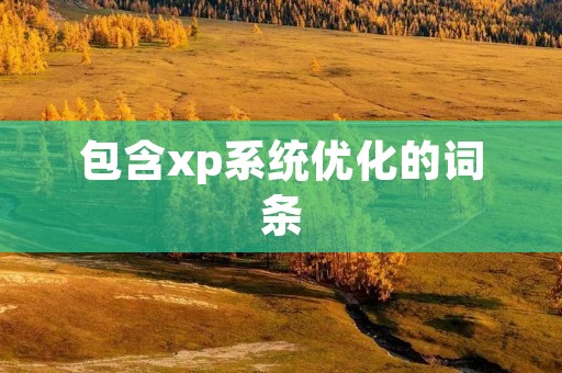 包含xp系统优化的词条