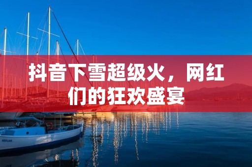 抖音下雪超级火,网红们的狂欢盛宴 抖音下雪超级火,网红们的狂欢盛宴