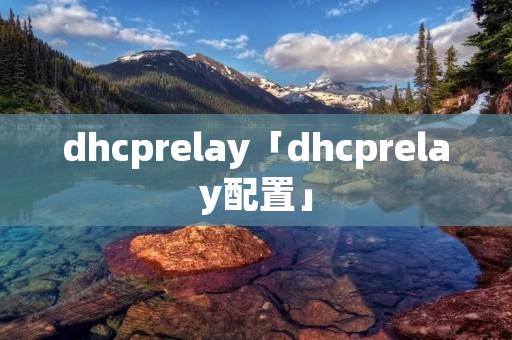 dhcprelay「dhcprelay配置」