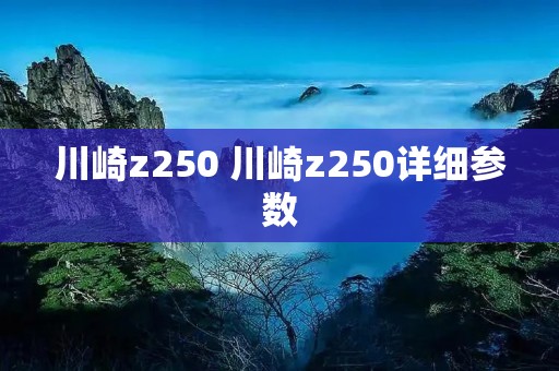 川崎z250 川崎z250详细参数