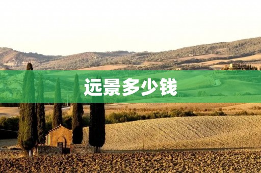 远景多少钱：揭秘未来发展的投资前景