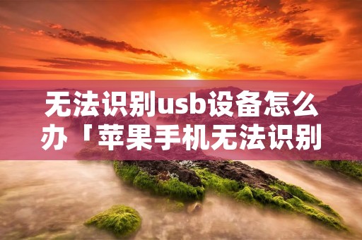 无法识别usb设备怎么办「苹果手机无法识别usb设备怎么办」