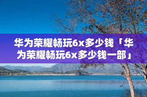 华为荣耀畅玩6x多少钱「华为荣耀畅玩6x多少钱一部」