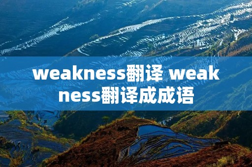 weakness翻译 weakness翻译成成语