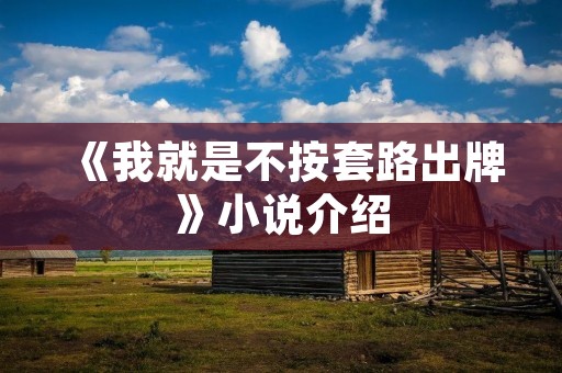 《我就是不按套路出牌》小说介绍