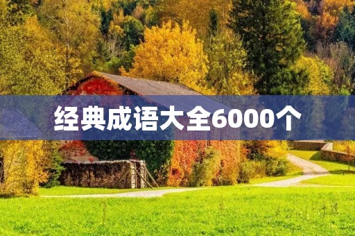 经典成语大全6000个:中华文化的瑰宝