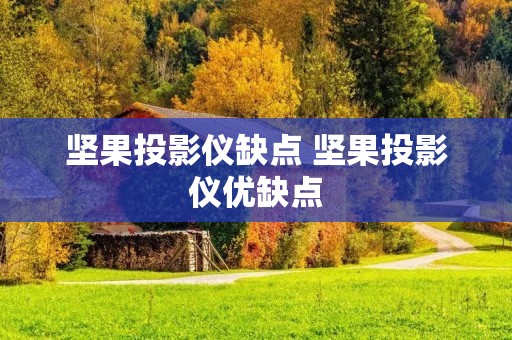 坚果投影仪缺点 坚果投影仪优缺点