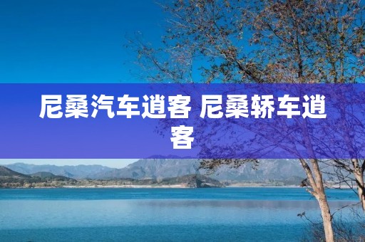 尼桑汽车逍客 尼桑轿车逍客