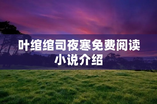 叶绾绾司夜寒免费阅读小说介绍
