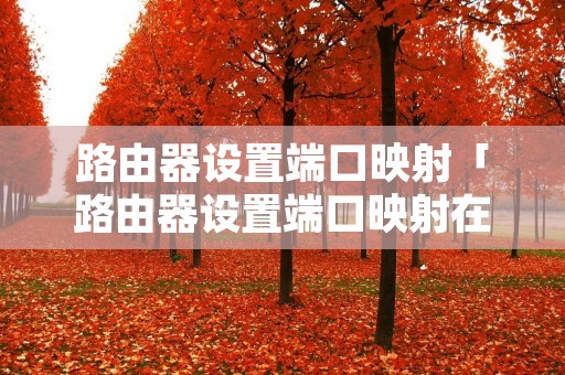路由器设置端口映射「路由器设置端口映射在哪里」 路由器设置端口映射「路由器设置端口映射在哪里」