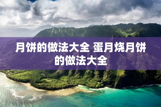 月饼的做法大全 蛋月烧月饼的做法大全