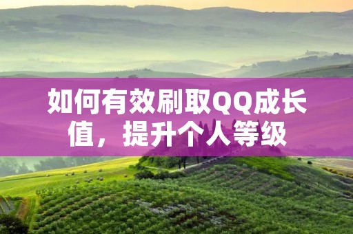 如何有效刷取QQ成长值,提升个人等级