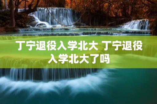 丁宁退役入学北大 丁宁退役入学北大了吗