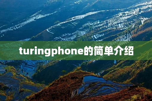 turingphone的简单介绍 turingphone的简单介绍