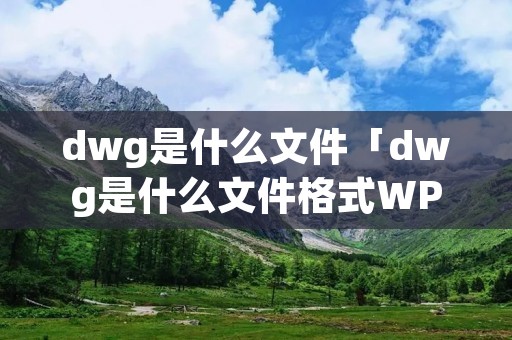 dwg是什么文件「dwg是什么文件格式WPS」