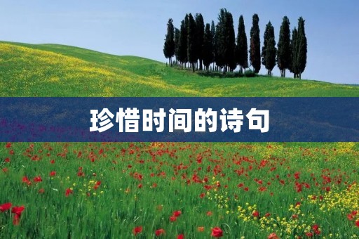 珍惜时间的诗句：化蝶篇