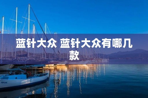 蓝针大众 蓝针大众有哪几款