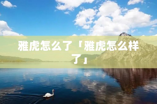 雅虎怎么了「雅虎怎么样了」
