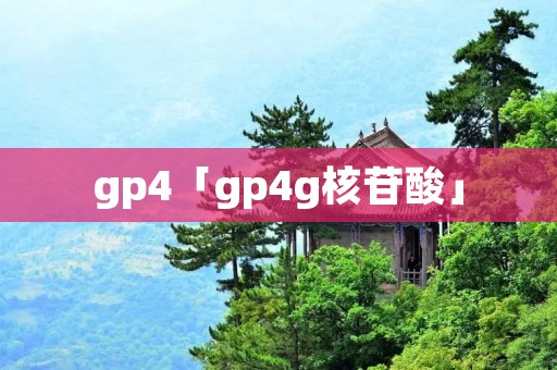 gp4「gp4g核苷酸」 gp4「gp4g核苷酸」