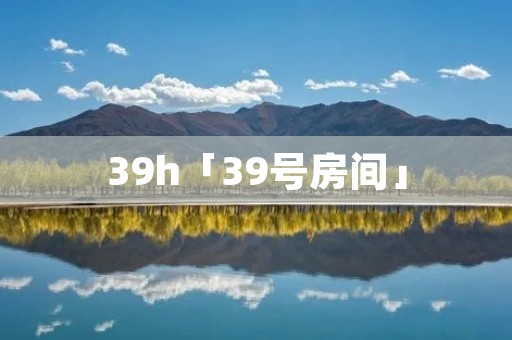 39h「39号房间」