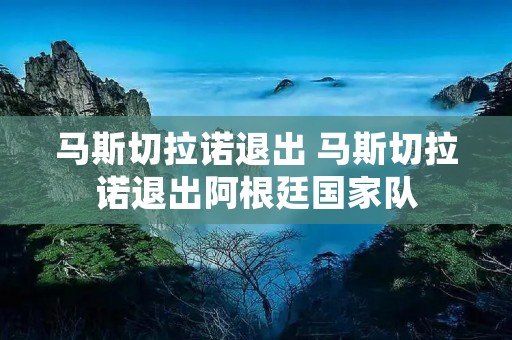 马斯切拉诺退出 马斯切拉诺退出阿根廷国家队