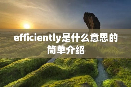 efficiently是什么意思的简单介绍
