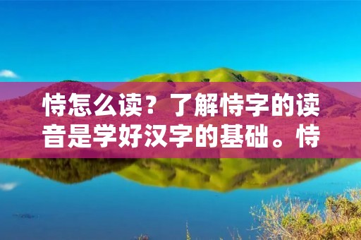 恃怎么读？了解恃字的读音是学好汉字的基础。恃字的拼音读音是shì，四声。下面将从不同角度介绍恃字的读音。