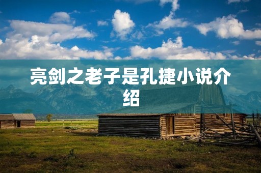 亮剑之老子是孔捷小说介绍