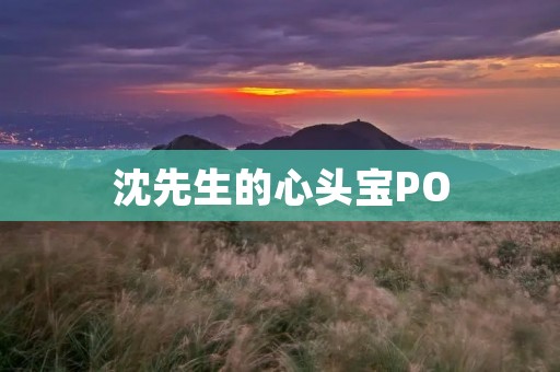 沈先生的心头宝PO