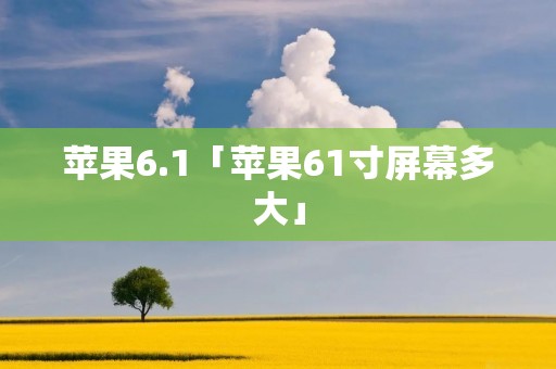 苹果6.1「苹果61寸屏幕多大」
