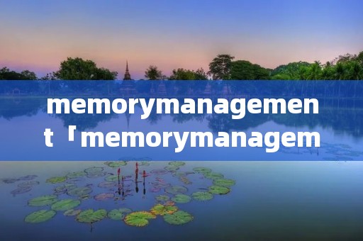 memorymanagement「memorymanagement蓝屏怎么解决」