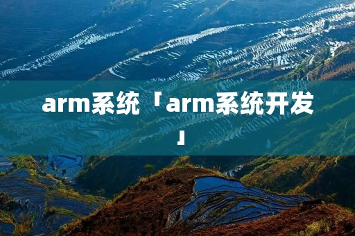 arm系统「arm系统开发」