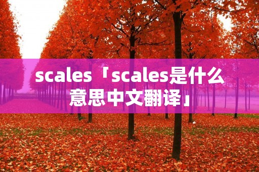 scales「scales是什么意思中文翻译」