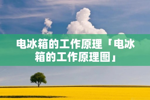 电冰箱的工作原理「电冰箱的工作原理图」 电冰箱的工作原理「电冰箱的工作原理图」