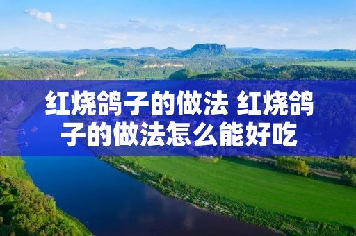 红烧鸽子的做法 红烧鸽子的做法怎么能好吃