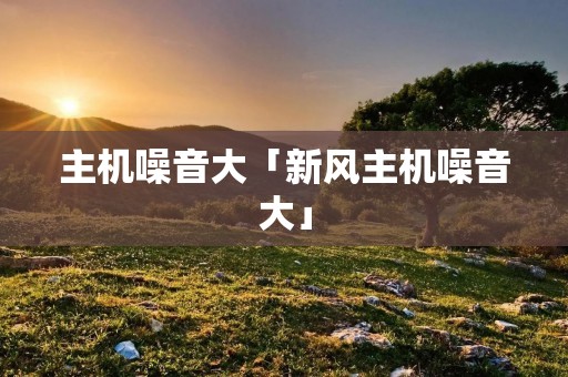 主机噪音大「新风主机噪音大」