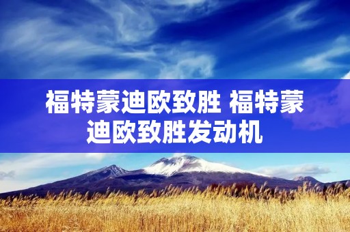 福特蒙迪欧致胜 福特蒙迪欧致胜发动机 福特蒙迪欧致胜 福特蒙迪欧致胜发动机