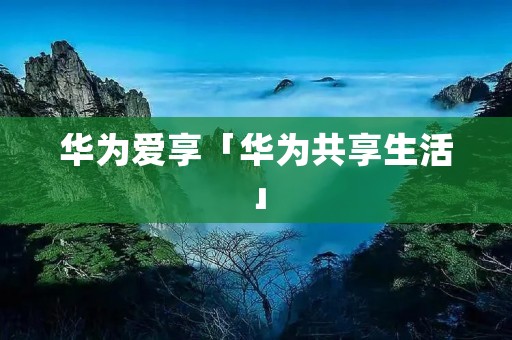 华为爱享「华为共享生活」