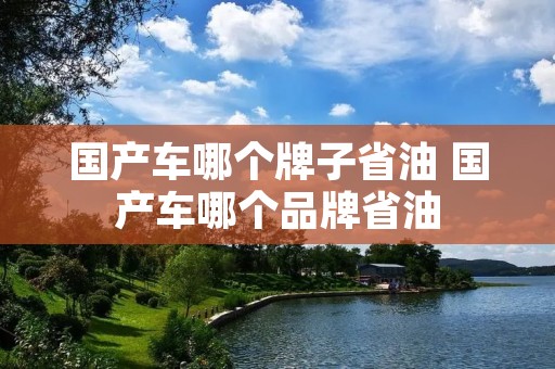 国产车哪个牌子省油 国产车哪个品牌省油