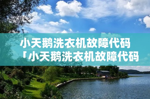小天鹅洗衣机故障代码「小天鹅洗衣机故障代码F8」