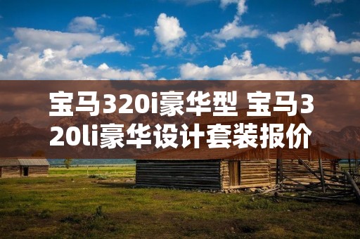 宝马320i豪华型 宝马320li豪华设计套装报价 宝马320i豪华型 宝马320li豪华设计套装报价