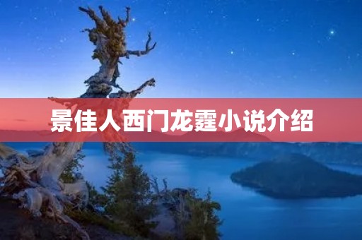 景佳人西门龙霆小说介绍