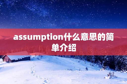 assumption什么意思的简单介绍