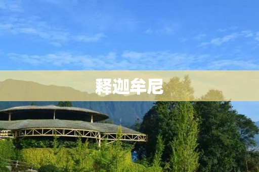 释迦牟尼：一个伟大智者的传奇人生