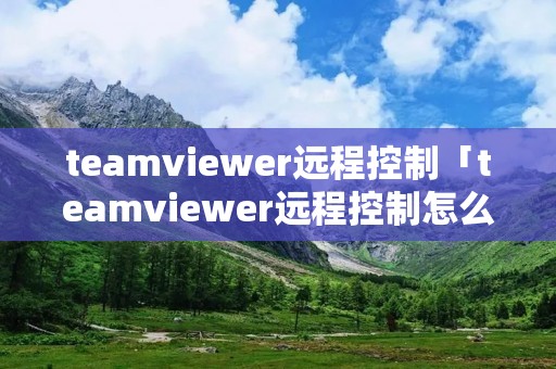 teamviewer远程控制「teamviewer远程控制怎么用」