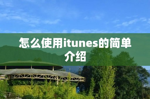 怎么使用itunes的简单介绍