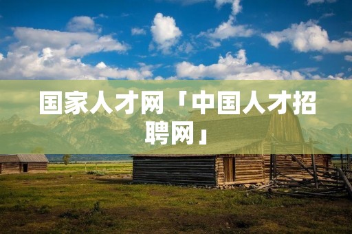 国家人才网「中国人才招聘网」