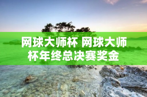 网球**杯 网球**杯年终总决赛奖金