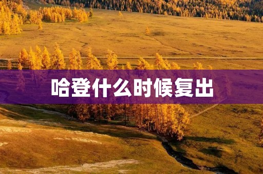 哈登什么时候复出：详细揭秘哈登复出时间的背后